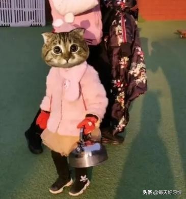 幼儿园老师叫孩子回家,幼儿园老师叫孩子自带零食