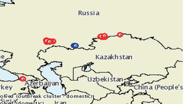 牛结节性皮肤病的流行与诊断,牛结节病防控工作面临的主要问题