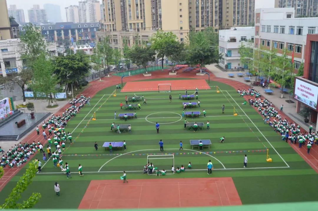 电子科大附中排名,电子科大附属小学排名