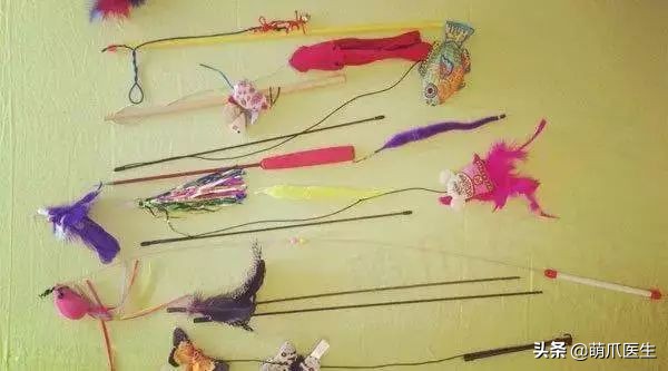 猫咪喜欢在塑料袋尿尿,猫咪吃塑料袋什么原因