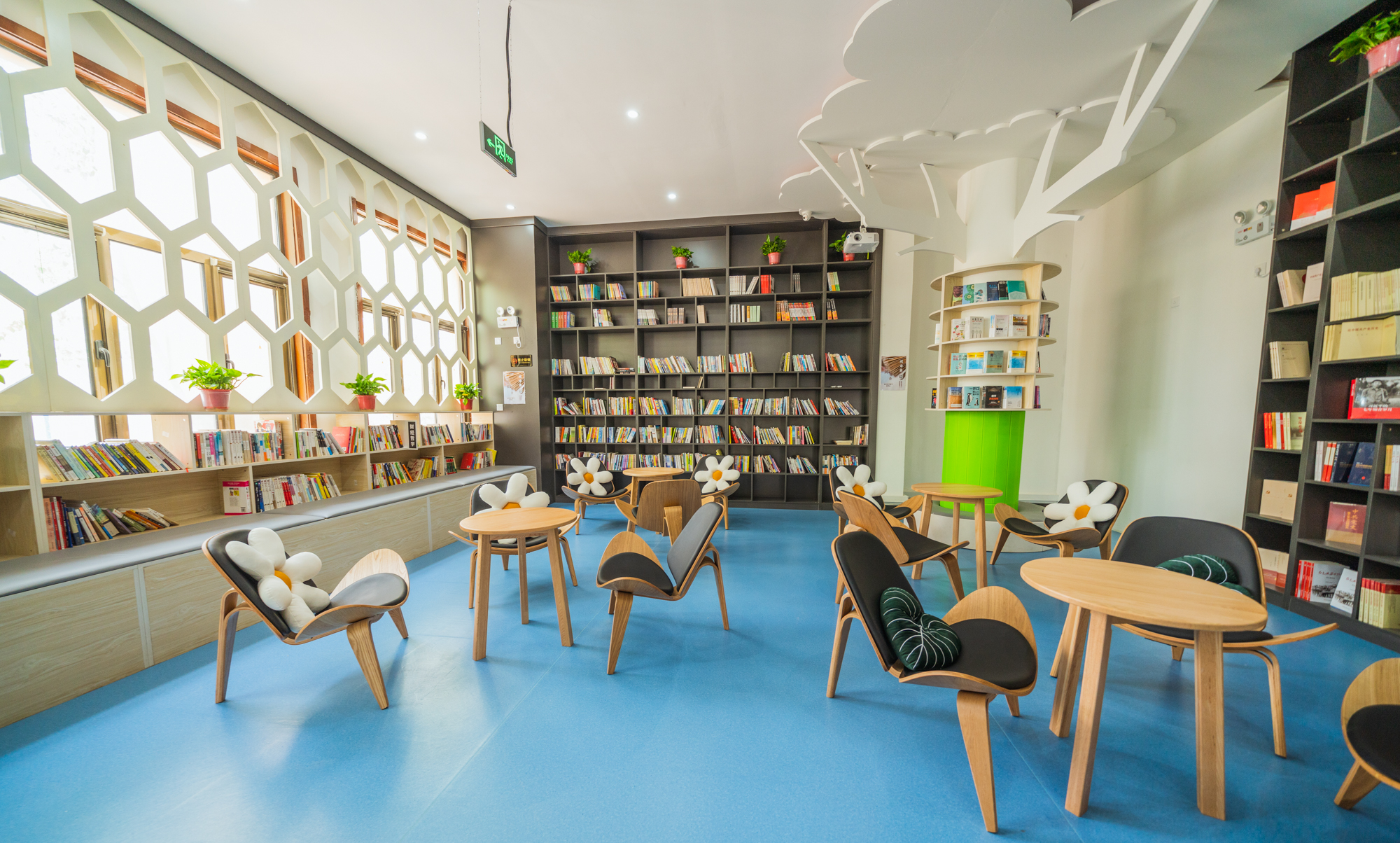 国际鲜花港郁金香,看郁金香北京国际鲜花港