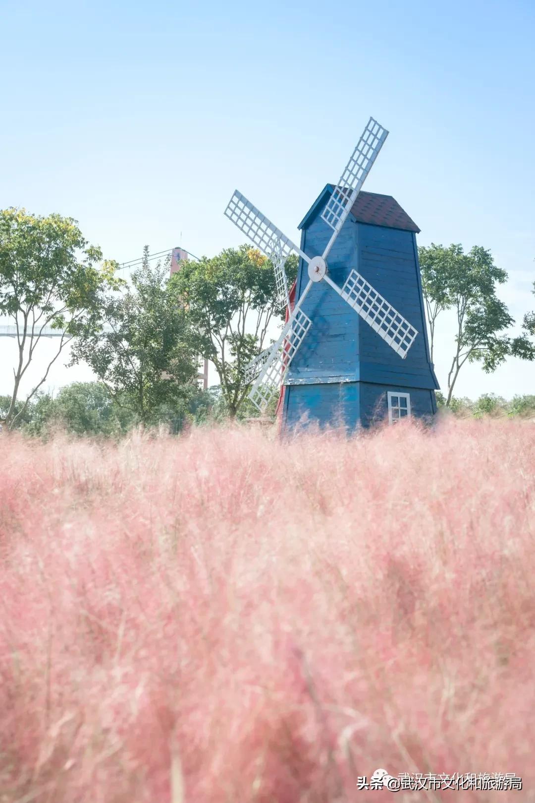 蔡甸区游玩,蔡甸在哪里
