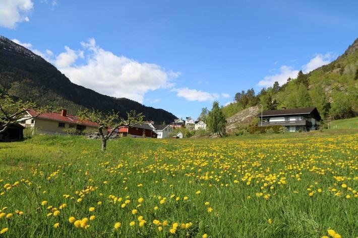 挪威峡湾自助游攻略图,挪威旅游路线自驾攻略最新