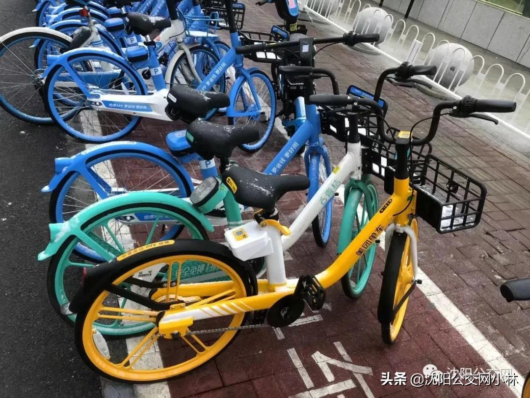 共享单车到p点无法还车,共享单车开启p点还车