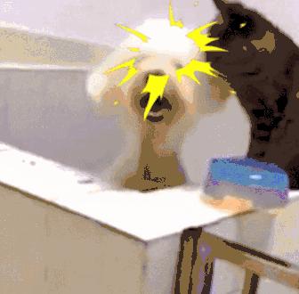 海外代购物流造假,警惕售假新套路