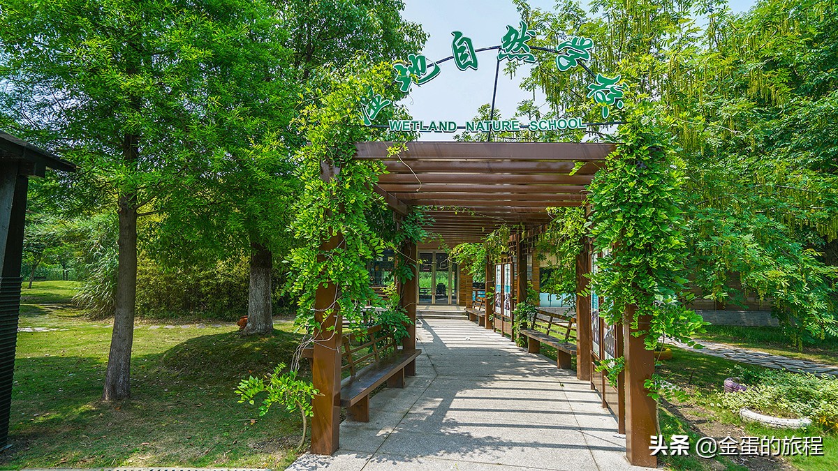 苏州旅游沙家浜,人人都知江南好下一句