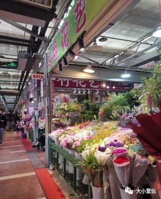 过年必逛花卉市场,北京值得去的花卉市场