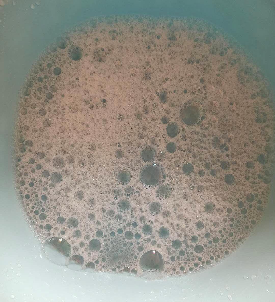 花卉植物有蚜虫蚧壳虫用什么药,花卉一天中什么时间打蚜虫最好