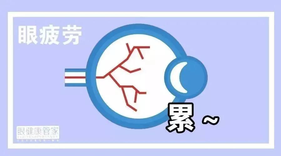 一文看懂光学深度解析,眼睛干涩视力模糊用冷敷还是热敷