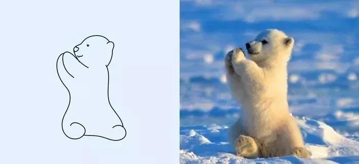 一波可爱动物简笔画,超火的简笔画动图