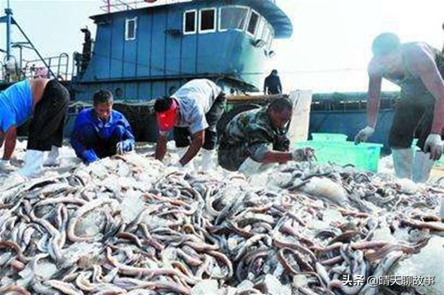 日本美食最受欢迎的菜 (日本人最爱吃的一道菜)