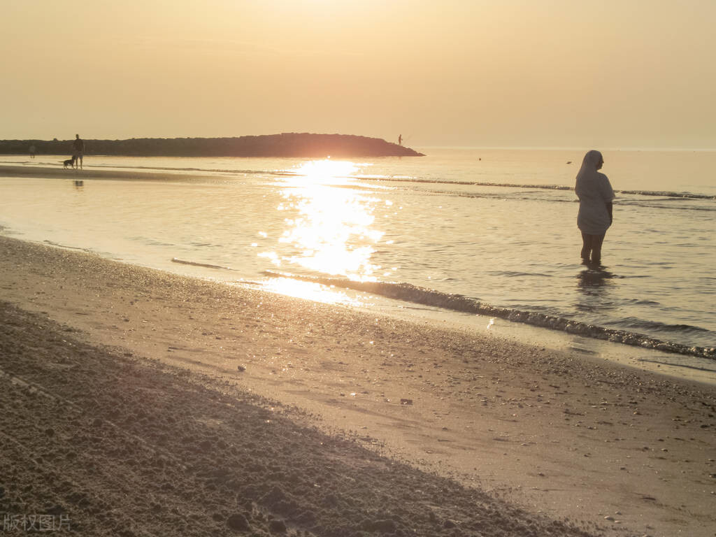 深圳公办高中梯队排行,深圳2021年新建高中有哪些