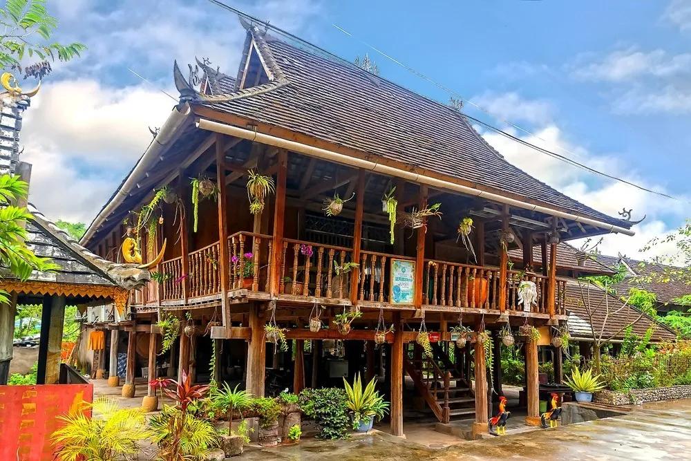 山河忽已秋，最后来西双版纳过个夏