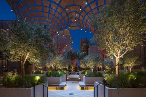 长成这个样子的厕所，我猜你一定没见过