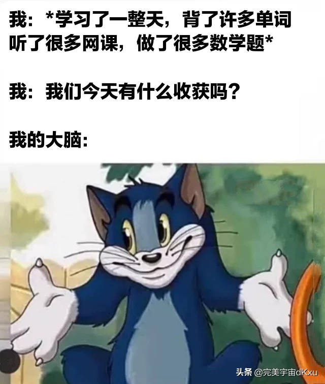 windows11鎬绘槸缁垮睆,windows11鏇存柊缁垮睆