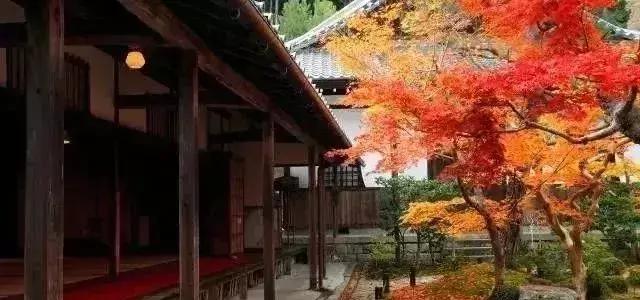 庭院景观设计最佳布局,庭院花园景观风水设计