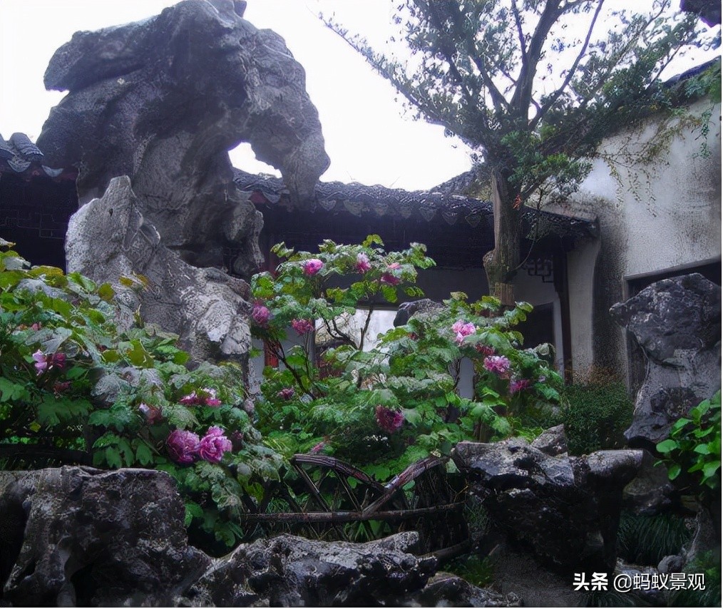 陈从周的园林作品有哪些,陈从周中国园林风格