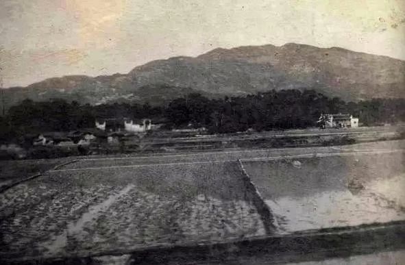 从臭水沟到打卡的经历,圭塘河臭水沟风光