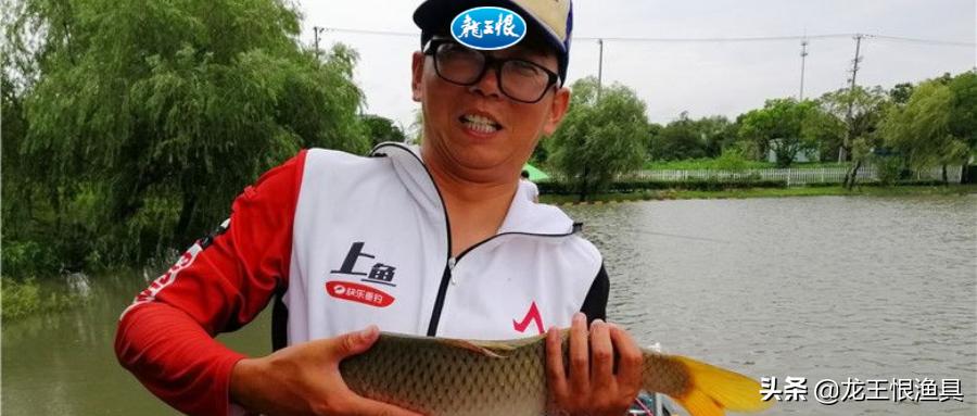 黑坑大鲤视频大全,黑坑战大鲤最新消息