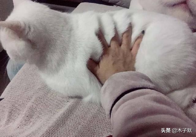 隔离的日子如同宅家,被隔离的日子真难熬吗