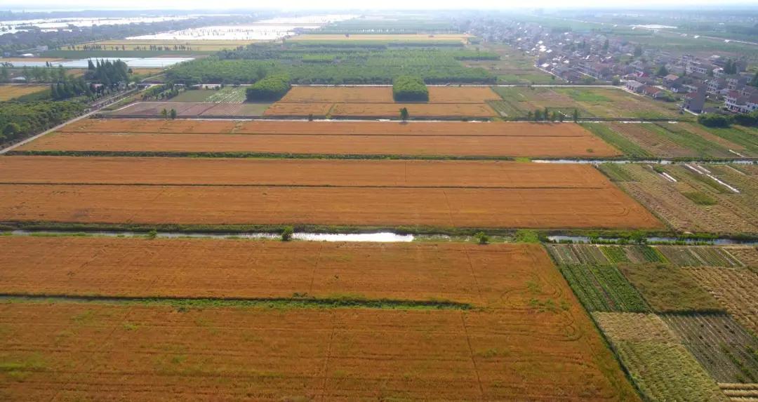 明知亏钱还是要做的是什么,明知亏本就该放手