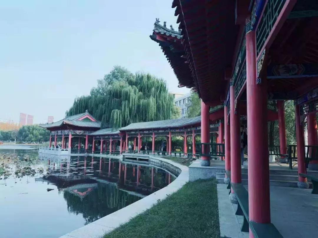 辽宁中医药大学杏林学院规模,辽宁中医学院杏林学院的排名