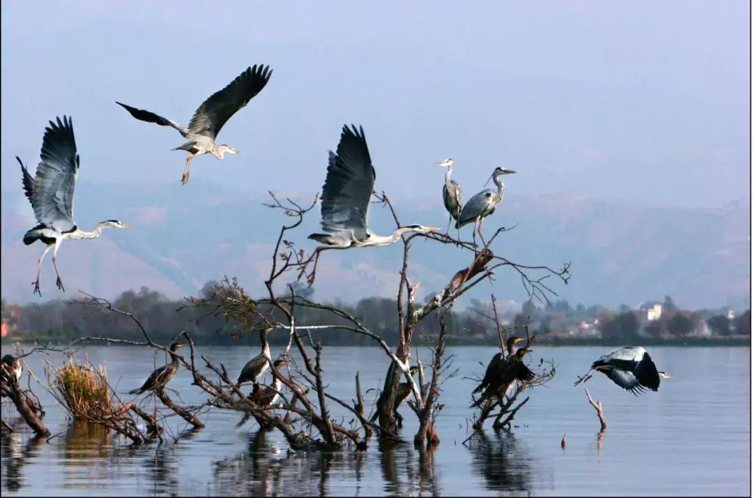 邛海旅游风景区,邛海旅游攻略必去景点西昌邛海