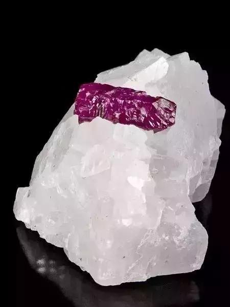 世界上令自己眸生情,见到后再也不爱别人的51个丽人