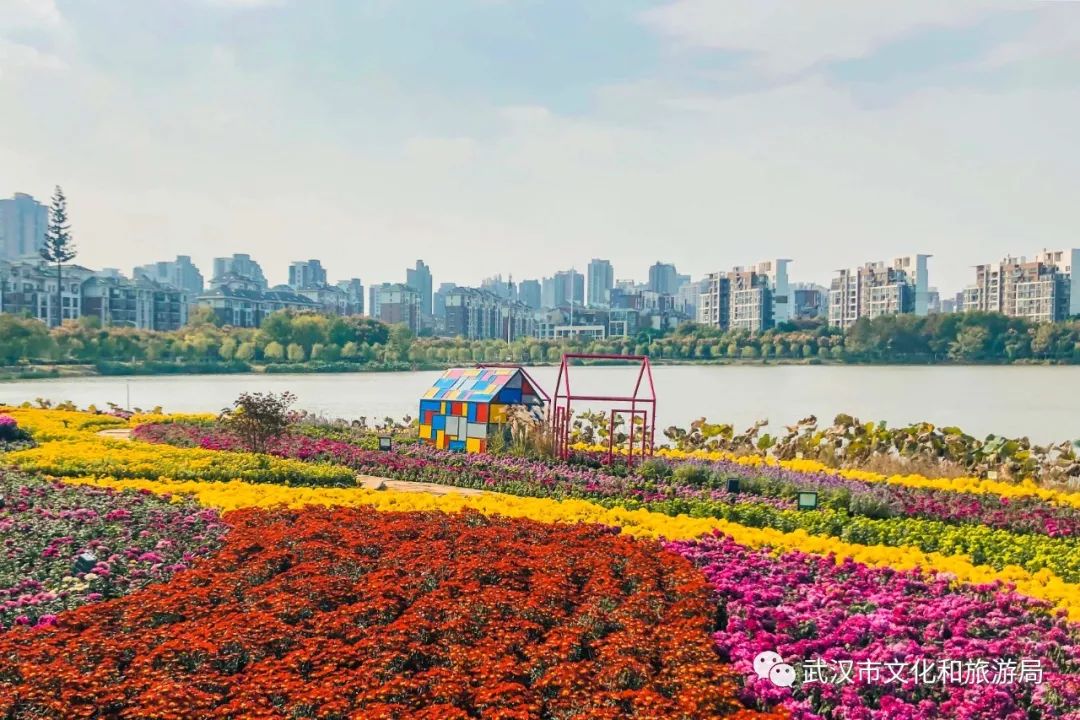 花点时间游黄陂,花点时间游武汉