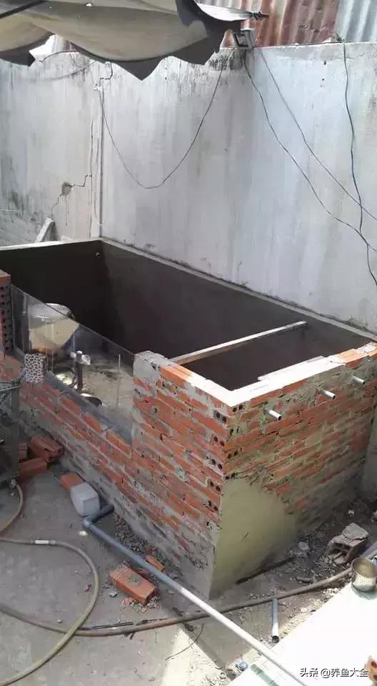 建一个锦鲤池要多少钱,园林锦鲤池建造