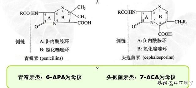 阿莫西林是抗生素类药品吗,阿莫西林消炎药用法