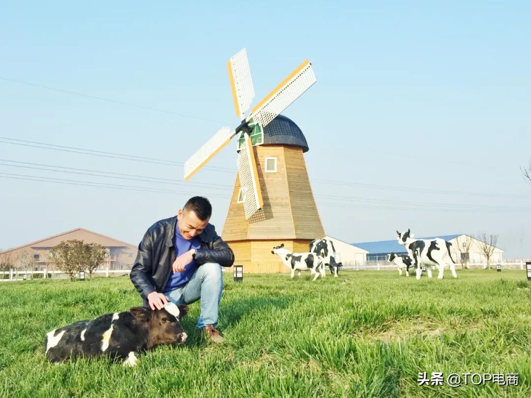 认养一头牛纯牛奶直播销量第一名,认养一头牛销量排名