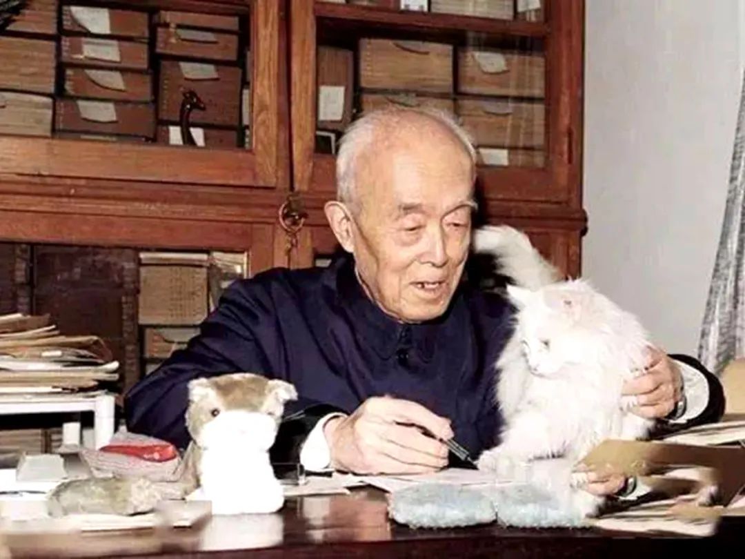 季羡林被誉为学界泰斗是真的吗,国学泰斗季羡林