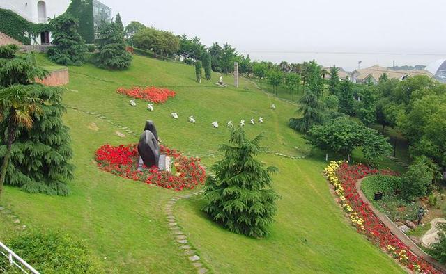 草坪种植管理教程视频,种植草坪与铺设草坪性价比