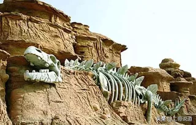 全新疆旅游景点有哪些,新疆带沟的旅游景点