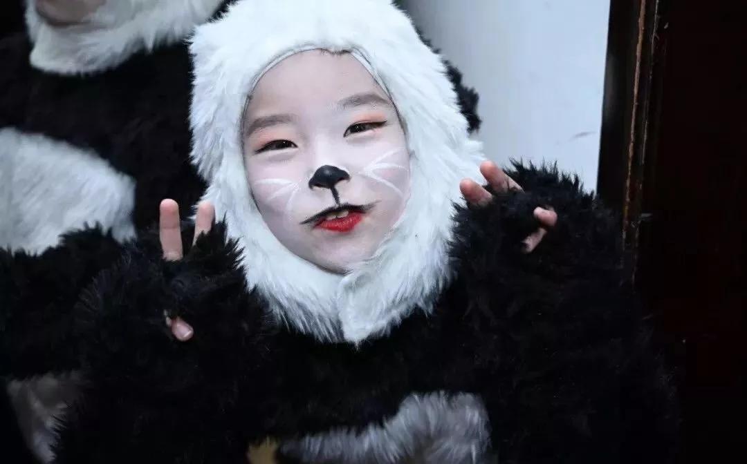 武侯区棕北西区小学好不好,武侯区弟维小学和棕北小学哪个好