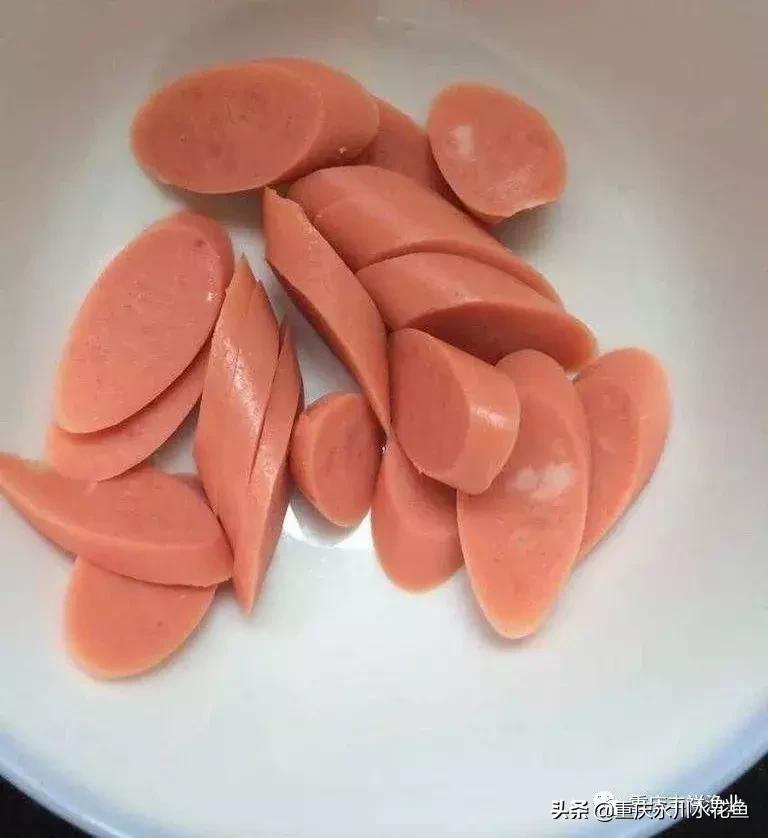 浮游动物饵料大全,各种动物饵料大全