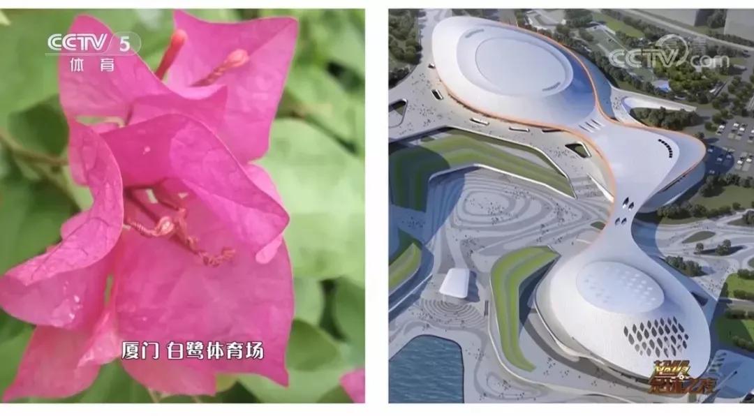 央视报道厦门体育中心,央视聚焦厦门海沧隧道