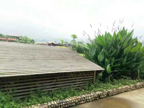 为什么右脸总是长痘痘,右脸长痘什么原因