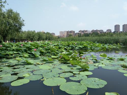 大连普兰店小众景点,大连免费的景点推荐