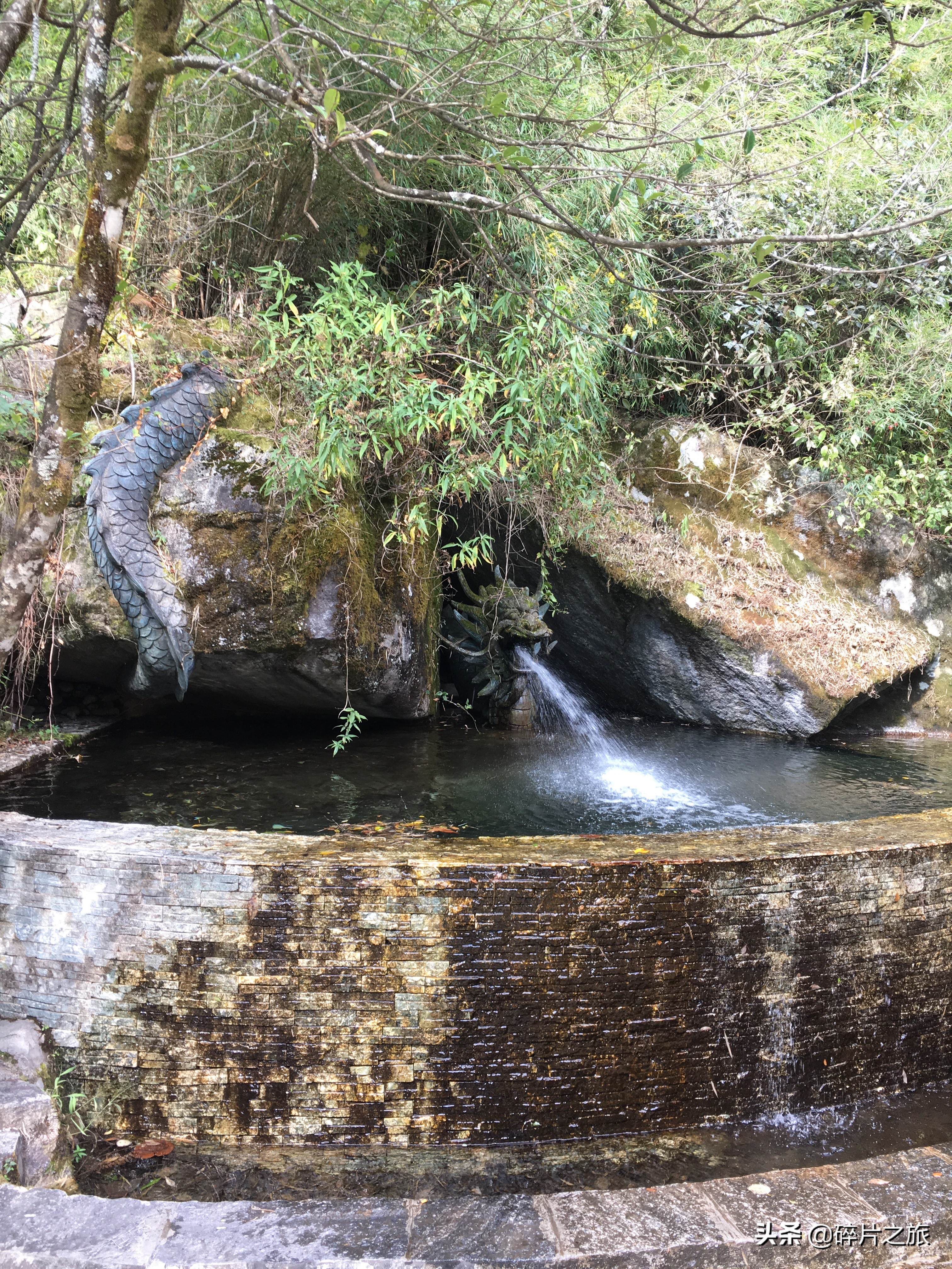 云南九日游纯玩团,云南九日游最佳路线