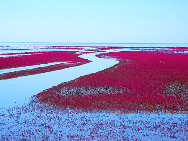 北京的北边有片红红的海北京很多人都没有去过