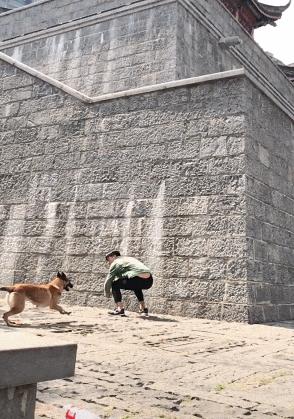 搞笑gif你们这些城里人太会玩了,搞笑gif逗比的世界你永远理解不了