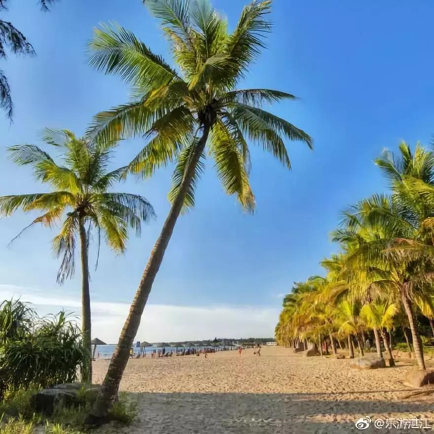 广东开海吃海鲜攻略,开海吃海鲜攻略