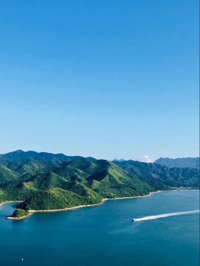 深圳最美5星级酒店,深圳最豪华打卡酒店