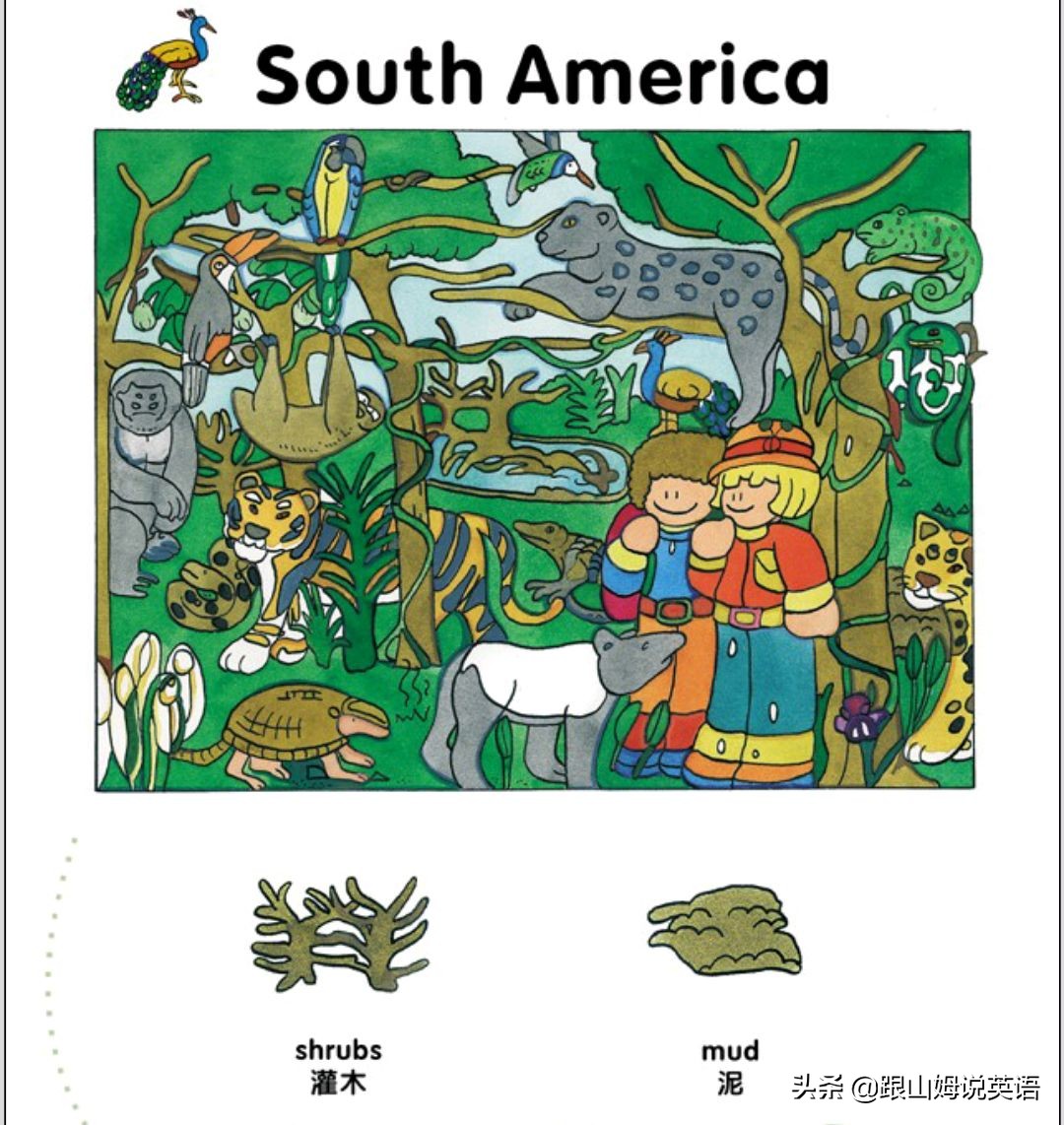 90幅图速记1000个初中英语单词,90幅图轻松记1000个单词