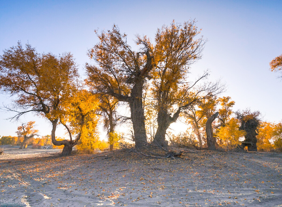 国内最经典12条自驾游线路,国内十大自驾游线路推荐