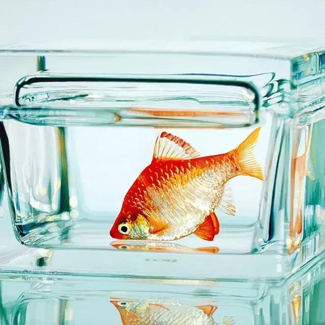 45岁韩国大叔,韩国45岁大叔