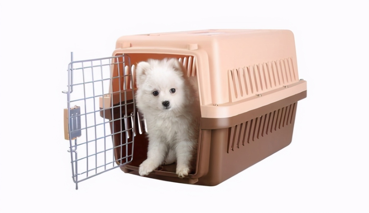 狗狗晕车吐了之后怎么调理,狗狗晕车呕吐没精神没食欲怎么办