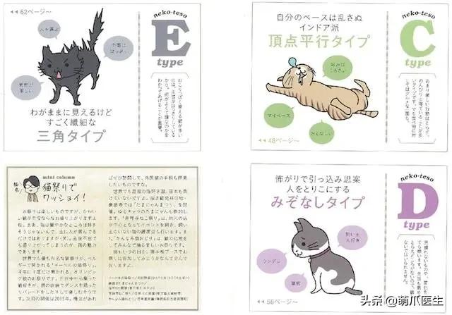 怎么让猫主动求抱抱,如何让猫给撸给抱